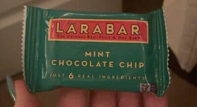 Mint Chocolate Chip Bar, Mint Chocolate Chip