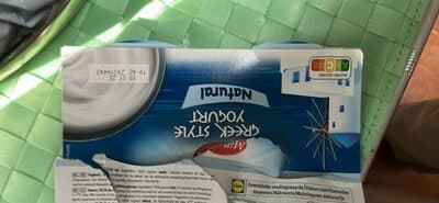 Greek Style Yougurt Natural