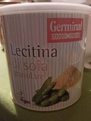 Lecitina Di Soia Granulare